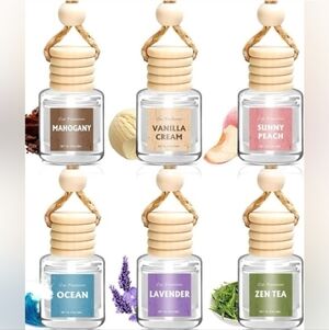 Homemade Car Freshies Disfuser- Set Of 2 Piece You Pick Which Scent You Like!!!!